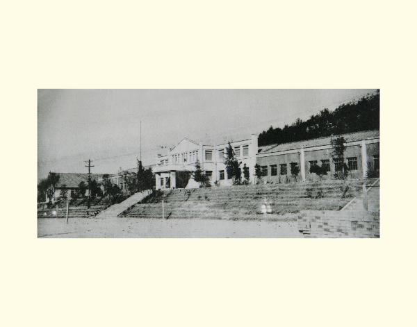 1961년 학교 전경